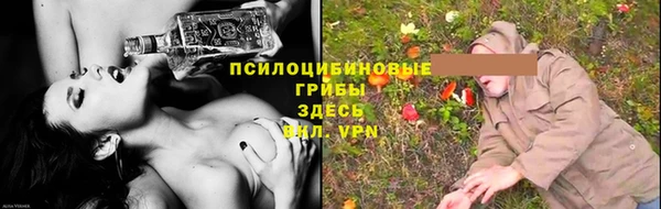 PSILOCYBIN Зеленодольск