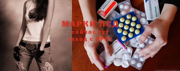 PSILOCYBIN Зеленодольск
