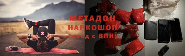 трава Гвардейск