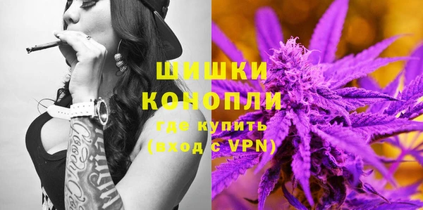 PSILOCYBIN Зеленодольск