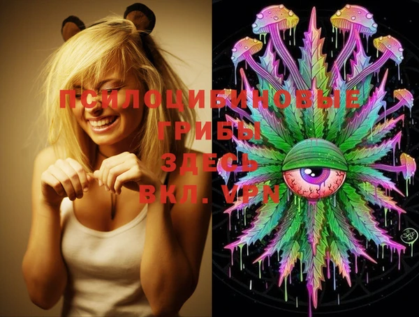 PSILOCYBIN Зеленодольск