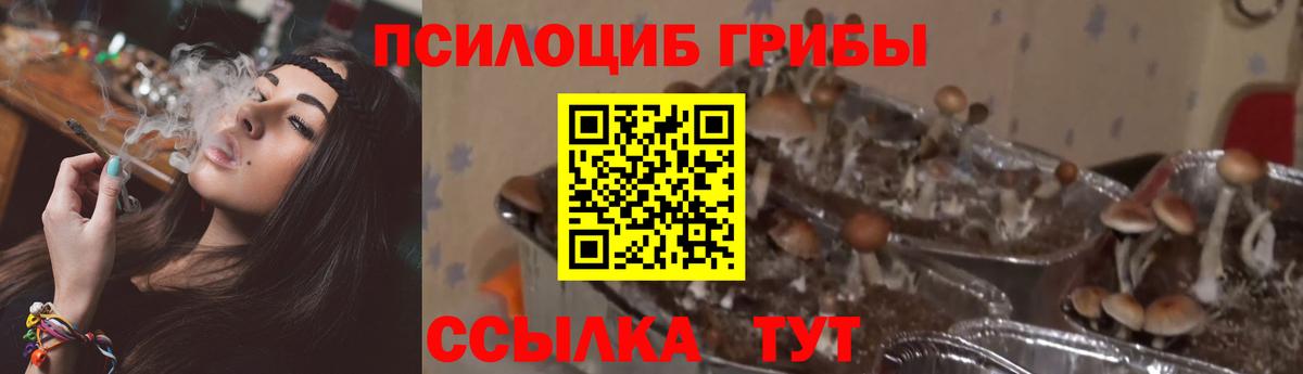 Галлюциногенные грибы MAGIC MUSHROOMS  Вход с VPN  Когалым 
